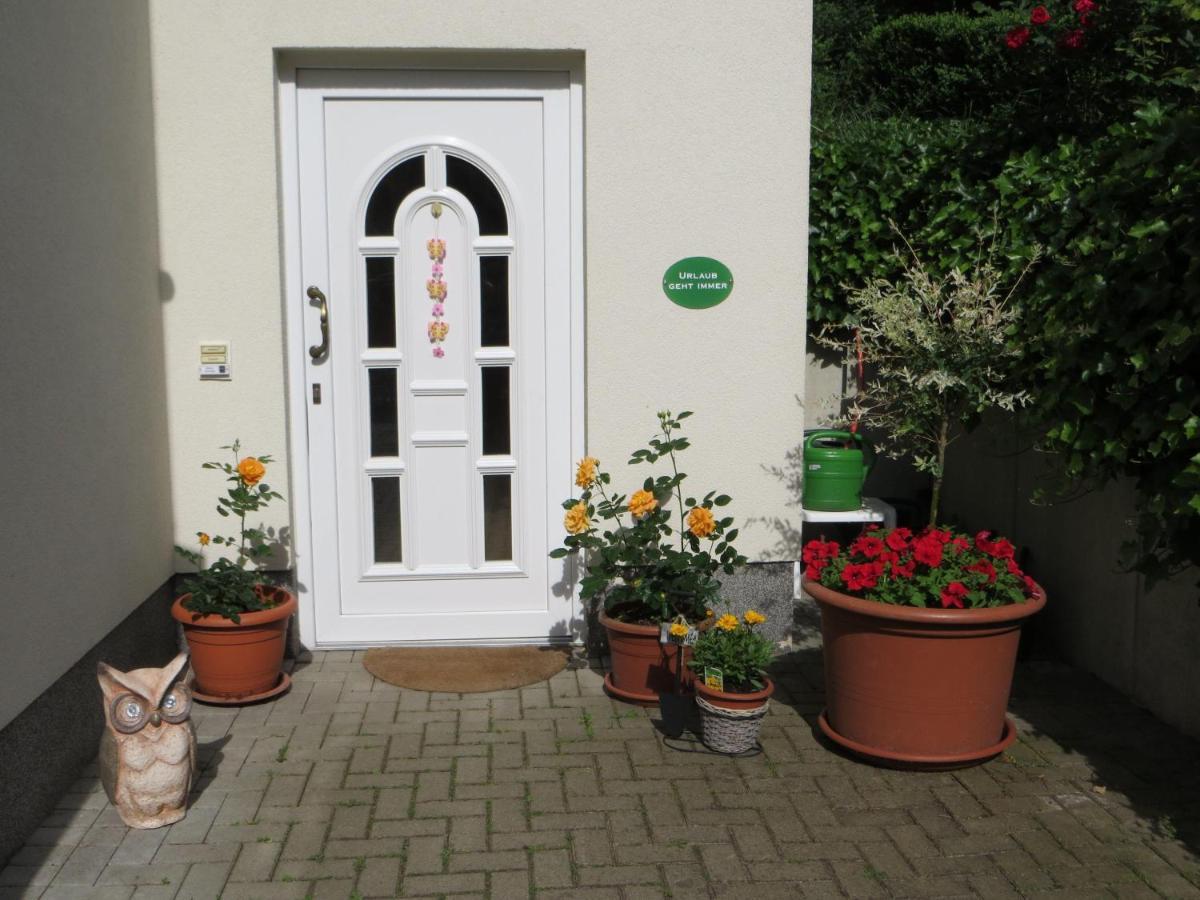 Weisses-Haus-Am-Kurpark-Fewo-Waldblick Quedlinbourg Extérieur photo
