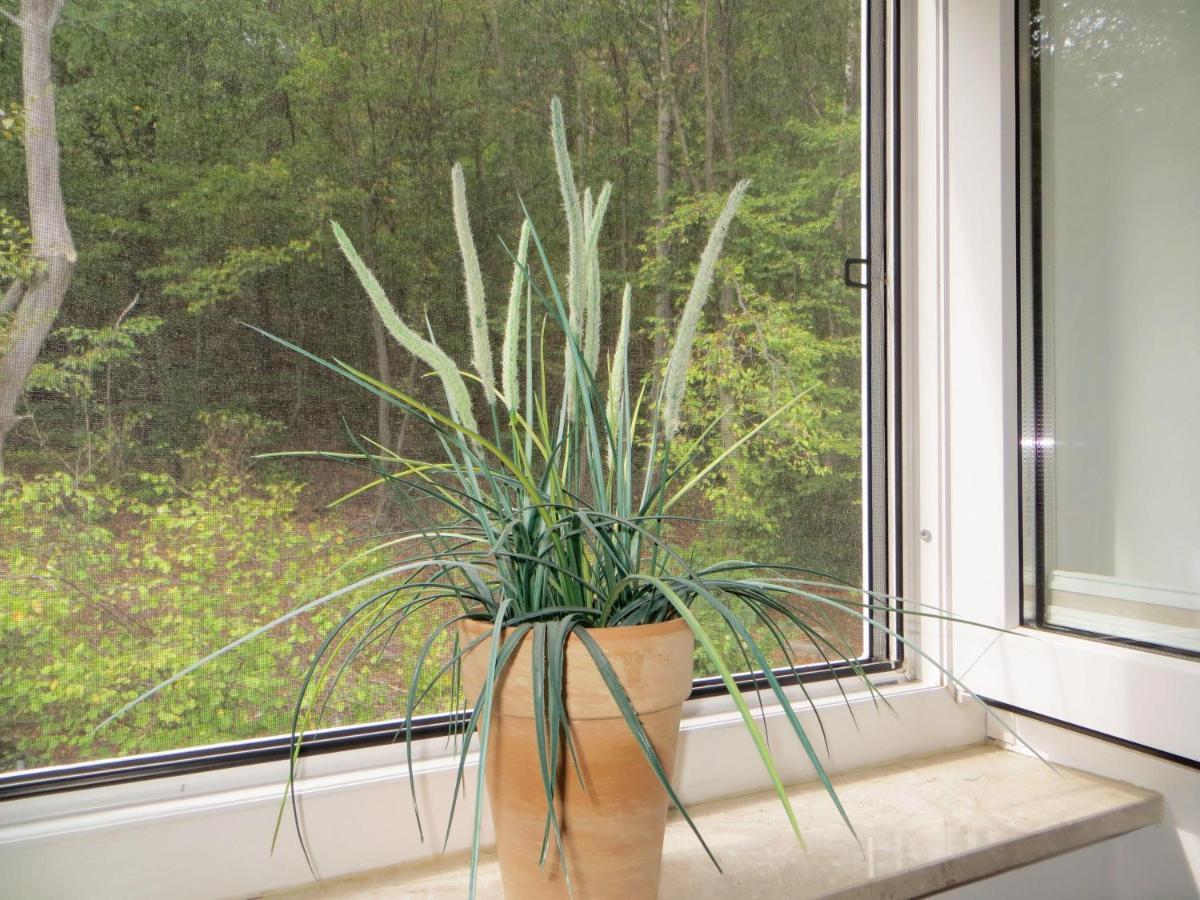 Weisses-Haus-Am-Kurpark-Fewo-Waldblick Quedlinbourg Extérieur photo